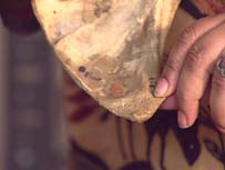 Fortune's Scapula